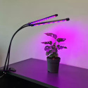Lampa lampka do wzrostu roślin do warzyw kwiatów nagrzewacz 20LED