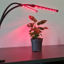 Lampa lampka do wzrostu roślin do warzyw kwiatów nagrzewacz 20LED