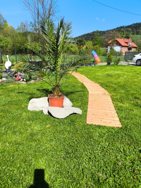 ŚCIEŻKA OGRODOWA Z DRZEWA CEDROWEGO 250CM X 43CM BITUXX ZWIJANA DO OGRODU DRÓŻKA