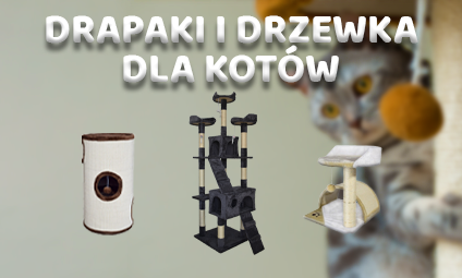 Drapak - czyli produkt niezbędny dla posiadczy kota