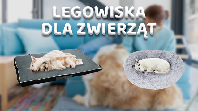 Legowiska dla zwierząt - Jak wybrać?