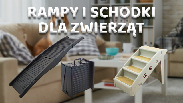 Rampy i schody dla Psów - czyli wszystko co powinienieś wiedzieć